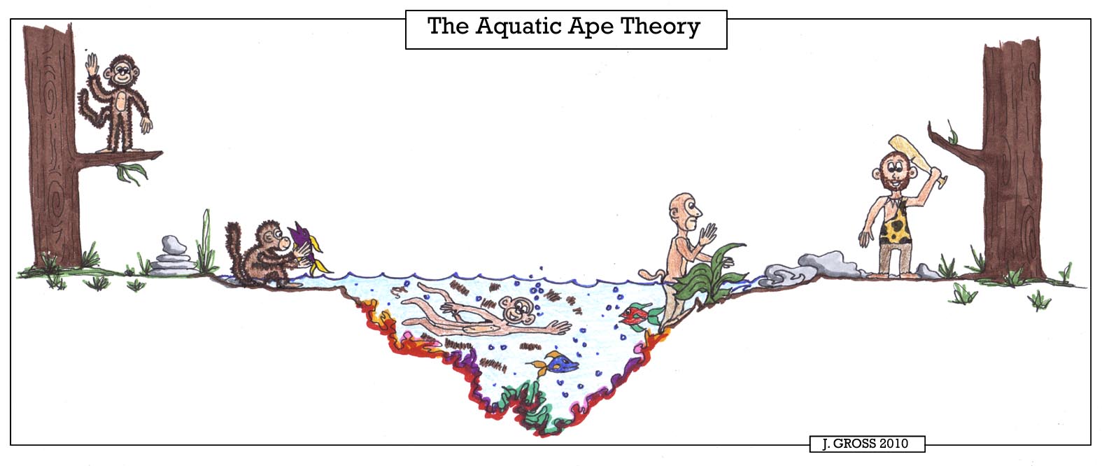 Aquatic-Ape-Theory