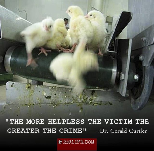 7303ef082b2821f2ca4015df5c37f7e8